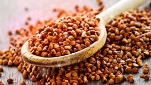 i benefici del grano saraceno per la perdita di peso